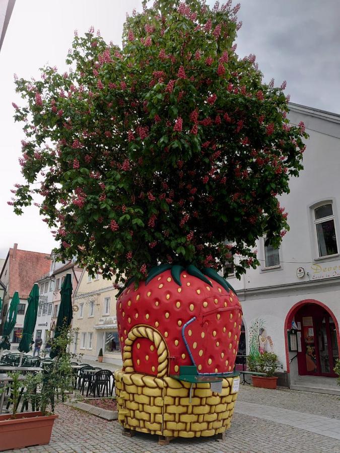 Ferienwohnungen Boegner Gunzburg Bagian luar foto